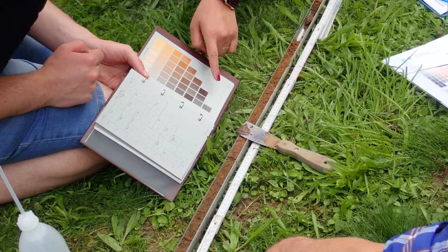 Blockseminar Nachhaltigkeit und Bodenschutz, Hamer